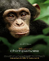 Chimpanzee – Şempanze İzle